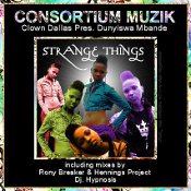 Clown Dallas presents Dunyiswa Mbande - Strange things
