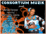 Carlos Vargas featuring Stephanie Cooke - This must be love