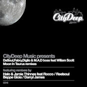 DaSouL, Fabry Diglio & M.A.D Boss featuring William Scott - Moon in Taurus (Remixes)