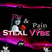 Steal Vybe featuring Stephanie Renee - Joy and pain