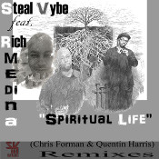 Steal Vybe featuring Rich Medina - Spiritual life (Remixes)