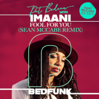 Pat Bedeau & Imaani - Fool for you (Sean McCabe Remixes)