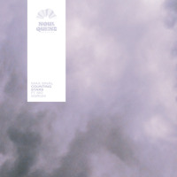 Max Sinal featuring Sio - Counting stars