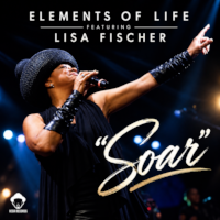 Elements of Life featuring Lisa Fischer - Soar