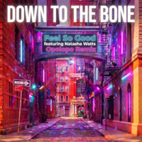 Down To The Bone featuring Natasha Watts - Feel so good (Opolopo Remix)